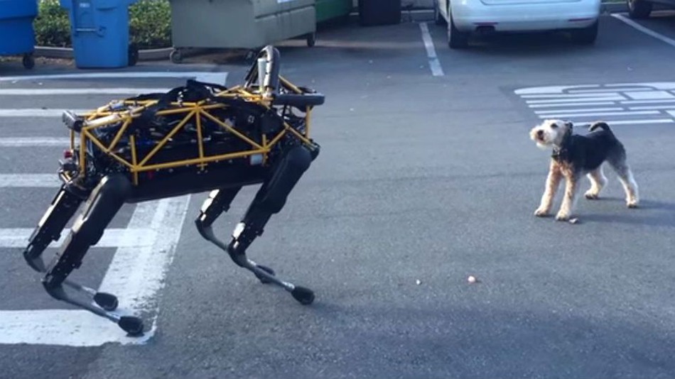 Boston Dynamics - Dog vs dog