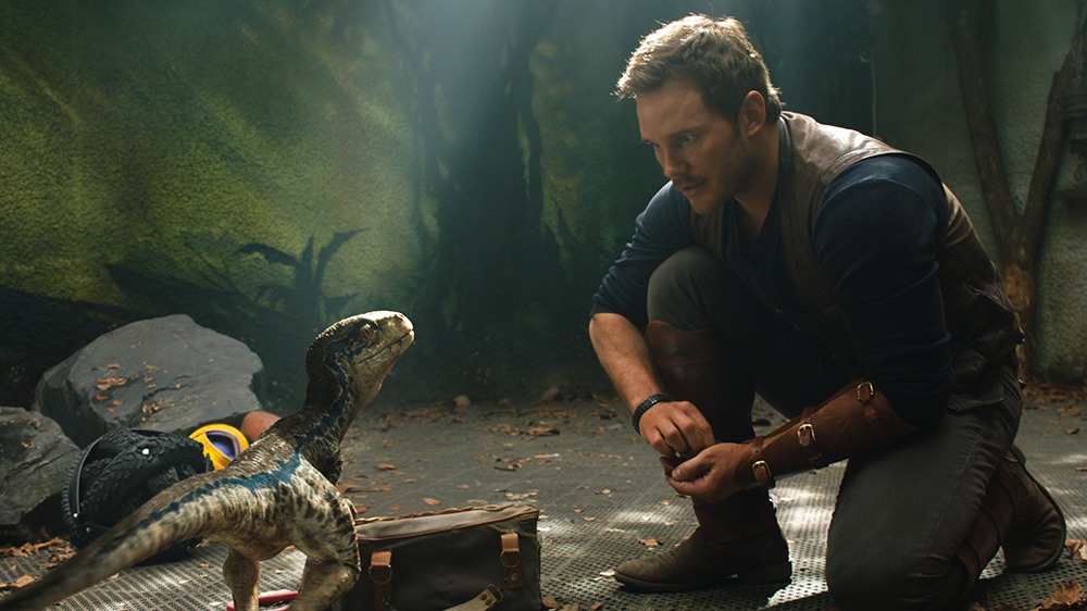 Owen treina Blue em Jurassic World: Reino Ameaçado