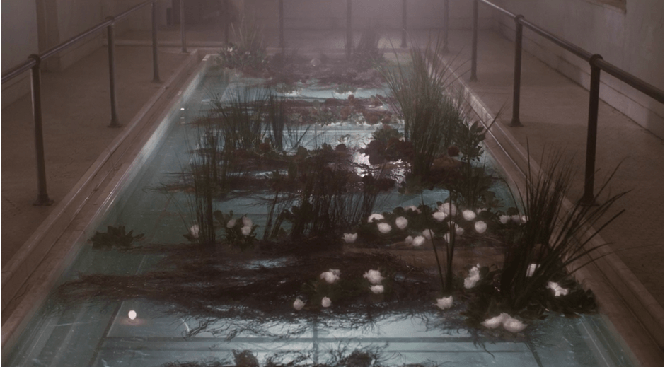 Jardim de corpos na piscina do Dr Hap em The OA